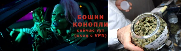 эйфоретик Покачи