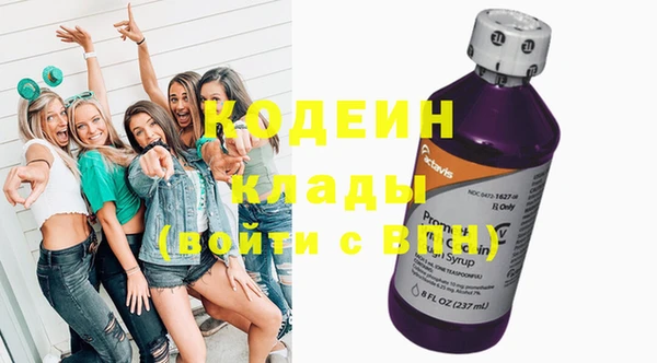эйфоретик Покачи