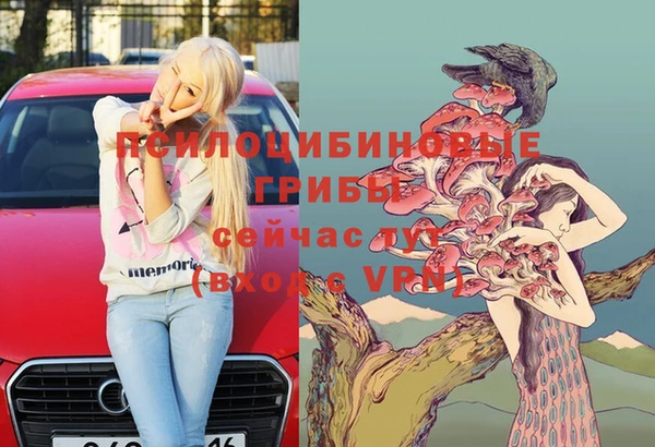 ECSTASY Покров