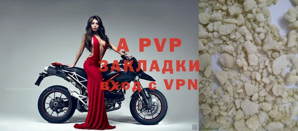 эйфоретик Покачи