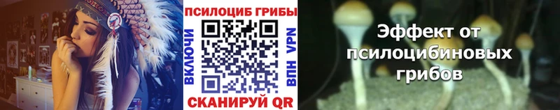 Псилоцибиновые грибы мицелий  Стрежевой 