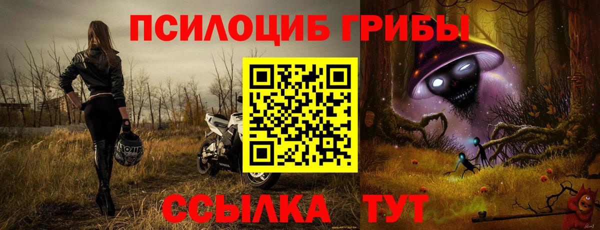 Галлюциногенные грибы Psilocybine cubensis  где купить наркотик  Стрежевой 